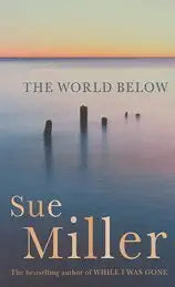 The World Below cover image
